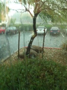 Bad Weather Part II 2 img 0023