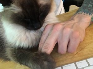 Happy Birthday Monster, You The King |2018 3 Happy Birthday Monster!!!