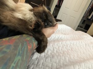 Sunday Bloody Sunday, LOVE My Monster |2018 1 IMG 0533