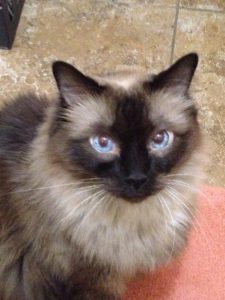 Happy Birthday Monster 2019 1 20160329102023 7f60293e me