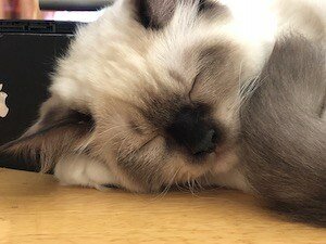 Takao, Your AMAZING Birthday | 2020 1 Takao Konishi Happy Birthday Dorkass