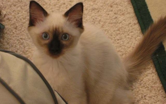 20 Years Is A Long Time |2022 2 Monster-ifica