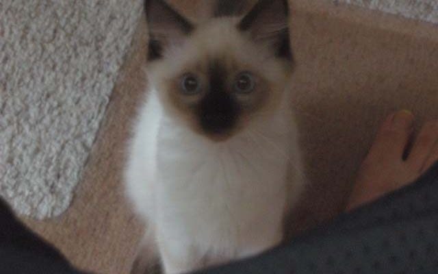 20 Years Is A Long Time |2022 1 Monster-ifica