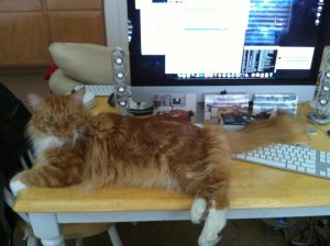 Sho Rai - The Master, The Day My Heart Was Broken |1419 2 Sho Rai, The Special Collection