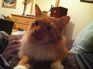 Sho Rai - The Master, The Day My Heart Was Broken |1419 3 Sho Rai, The Special Collection