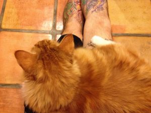 Sho Rai - The Master, The Day My Heart Was Broken |1419 4 Sho Rai, The Special Collection