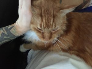 Sho Rai - The Master, The Day My Heart Was Broken |1419 5 20160329101059 dbaf0ecc me