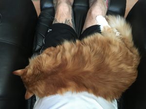 Sho Rai - The Master, The Day My Heart Was Broken |1419 6 Sho Rai, The Special Collection