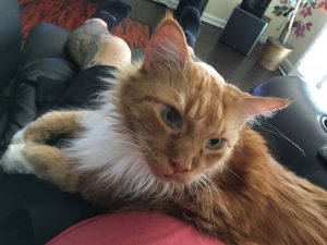 Sho Rai - The Master, The Day My Heart Was Broken |1419 7 Sho Rai, The Special Collection