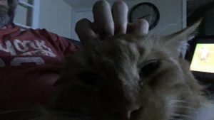 Sho Rai - The Master, The Day My Heart Was Broken |1419 10 Sho Rai, The Special Collection