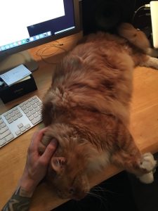 Sho Rai - The Master, The Day My Heart Was Broken |1419 11 Sho Rai, The Special Collection