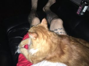 Sho Rai - The Master, The Day My Heart Was Broken |1419 12 Sho Rai, The Special Collection