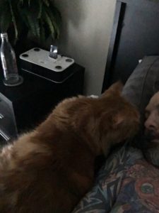 Sho Rai - The Master, The Day My Heart Was Broken |1419 13 Sho Rai, The Special Collection