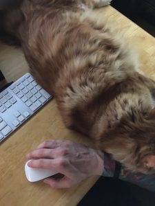 Sho Rai - The Master, The Day My Heart Was Broken |1419 15 Sho Rai, The Special Collection