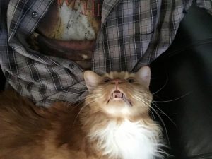 One Year Gone - NO HOPE |2020 2 Sho Rai, The Special Collection