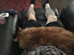 Sho Rai - The Master, The Day My Heart Was Broken |1419 17 Sho Rai, The Special Collection