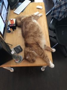 Sho Rai - The Master, The Day My Heart Was Broken |1419 20 Sho Rai, The Special Collection