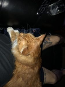 Sho Rai - The Master, The Day My Heart Was Broken |1419 22 Sho Rai, The Special Collection