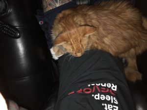 Sho Rai - The Master, The Day My Heart Was Broken |1419 23 Sho Rai, The Special Collection