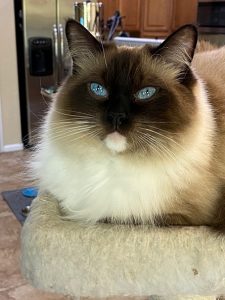 Takao, He Has GREAT Potential Birthday Edition |2021 1 Takao Konishi Happy Birthday Dorkass