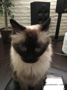 Happy Birthday Monster, Miss Ya Lots |2021 4 Monster-ifica