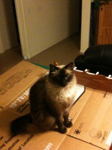 Happy Birthday Monster, Miss Ya Lots |2021 10 Monster-ifica