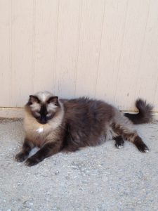 Happy Birthday Monster, Miss Ya Lots |2021 6 Monster-ifica