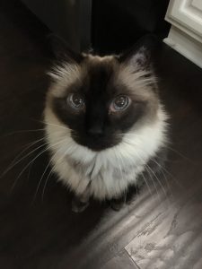 Happy Birthday Monster, Miss Ya Lots |2021 1 Monster-ifica