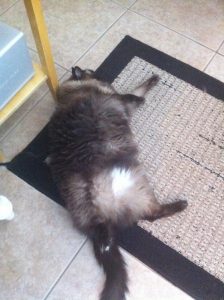 St. Monsters Day aka Sunday Bloody Sunday |2023 10 Monster-ifica