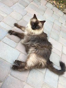 St. Monsters Day aka Sunday Bloody Sunday |2023 9 Monster-ifica