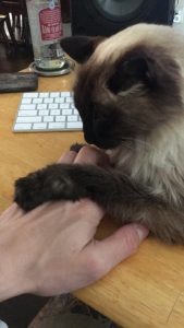 St. Monsters Day aka Sunday Bloody Sunday |2023 6 Monster-ifica