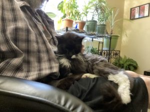 Truffle - Long Live The Only Cat I Will Ever Own 1 20220621 21