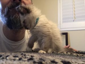 Takao Rai - Welcome Home